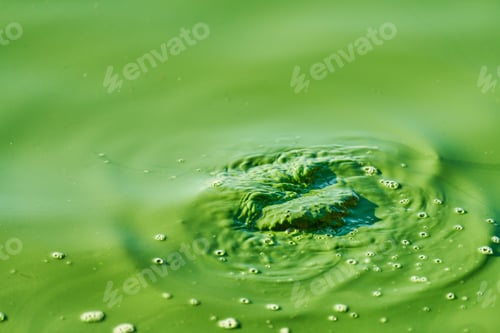 Preview: Environmental water pollution