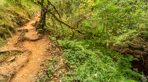 Preview: Fragas do Eume Natural Park, Pontedeume, Spain
