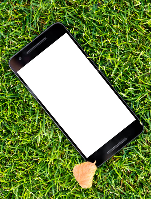 Preview: Mobile smart phone mockup with white screen on green grass background.