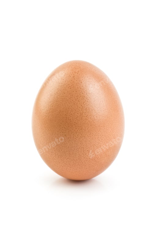 Single brown egg on a white background