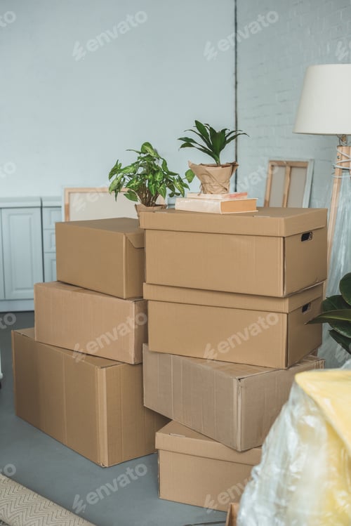 Preview: close up view of cardboard boxes in room