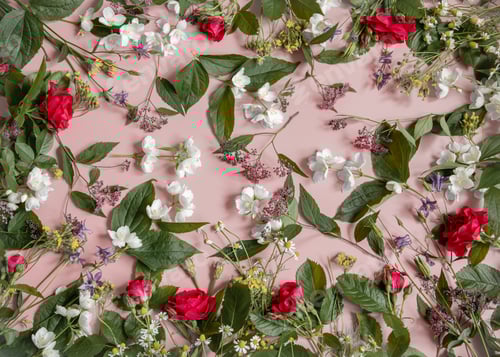 Preview: Floral flat lay background with fresh flowers and leaves.