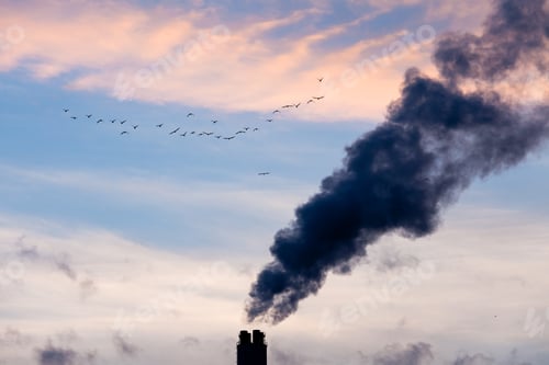 Preview: Industrial pollution chimneys and wildlife concept