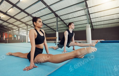 Preview: Ballet, art and creative dancers stretching in a gymnastics studio while training for concert. Eleg