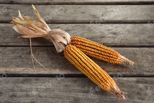Preview: Corn cob on wooden table - directly above