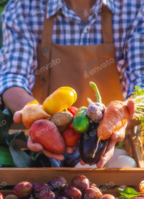Preview: The farmer sells fruits and vegetables at the farmers market. Selective focus.