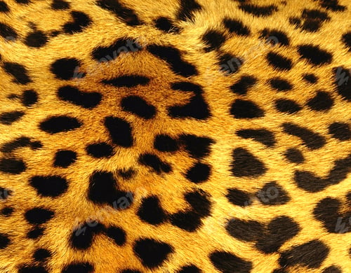 Vista previa: Leopard skin texture or background