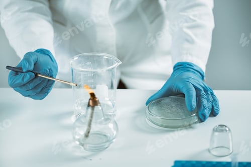 Preview: Microbiology laboratory work