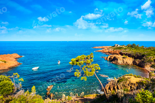 Preview: Esterel, tree, rocks beach coast and sea. Cote Azur, Provence, France.