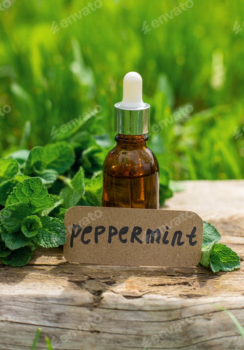 Preview: Peppermint extract essential oil and supplements. Selective focus.