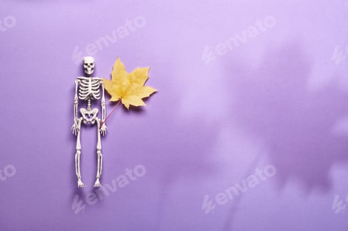 Preview: Skeleton with yellow autumn leaf on purple background. Halloween party decorations, trendy shadows