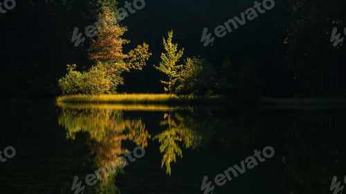Preview: Symmetric nature scenery with backlit trees growing on a riverside