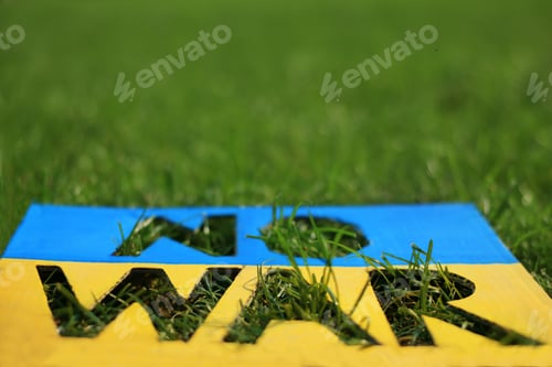 Preview: Poster in colors of Ukrainian flag with words No War on green grass, closeup