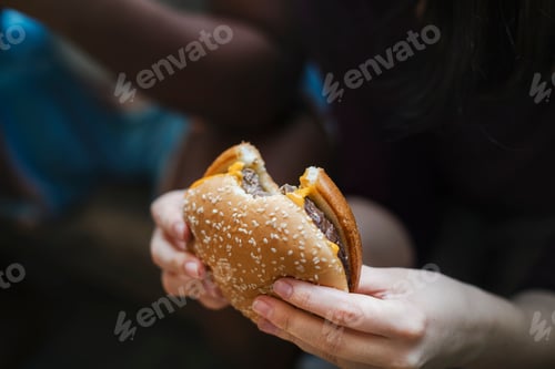 Preview: A big and juicy cheeseburger