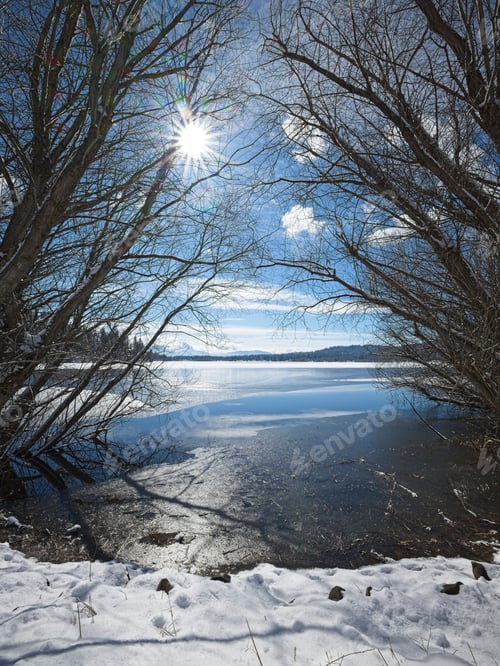 Preview: Sunshine through trees by the lake.