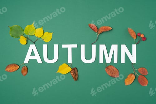Preview: Greeting card with Autumn text. Composition of autumn leaves