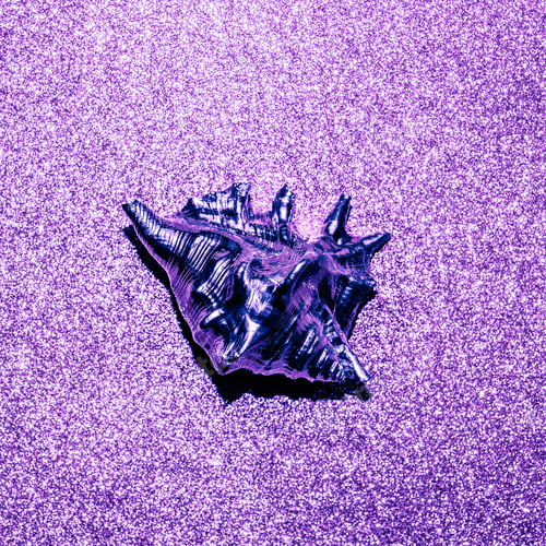 Preview: Shine shell. Minimal art design