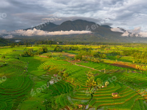 Preview: Beautiful morning view indonesia panorama landscape