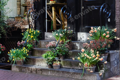 Preview: Outdoor Plants