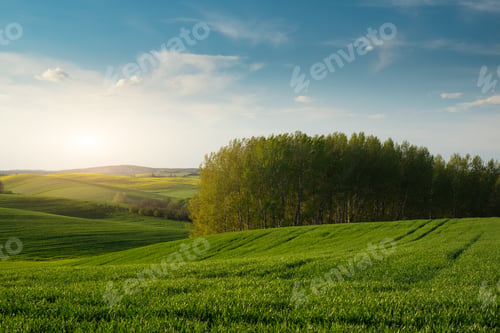 Preview: Countryside and green hills landscape