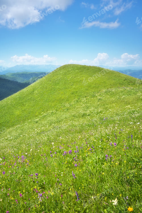 Preview: Spring nature landscape of blossom flowers on mountain hills at day.