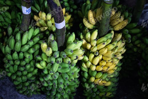 Preview: fresh fruit and vegetables on tropical market