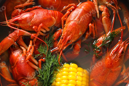 Preview: Fresh delicious crayfishes in water, closeup view