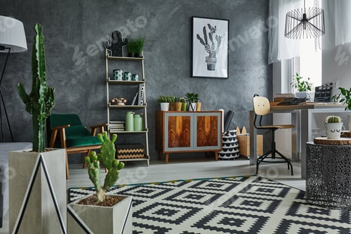 Preview: Apartment with decorative cactus
