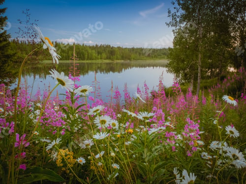 Preview: Blooming meadow on shore of lake