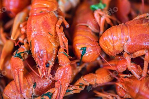 Preview: Crayfish cooked with salt and dill