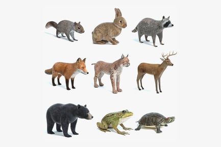 Preview: Diverse Wildlife Animal Collection