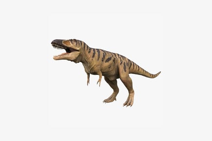 Preview: Lateral view of tyrannosaurus rex with open jaws
