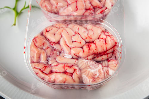 Preview: pork brain raw edible offal meat fresh food tasty eating cooking appetizer meal food snack