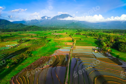 Preview: beautiful morning view from Indonesia of mountains and tropical forest