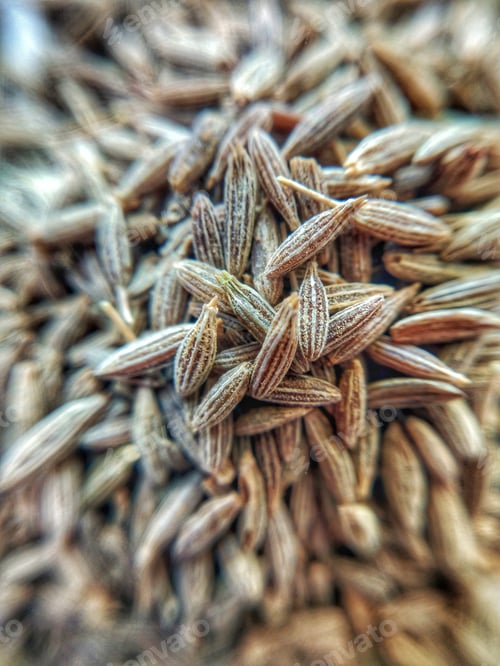 Preview: CUMIN SEEDS