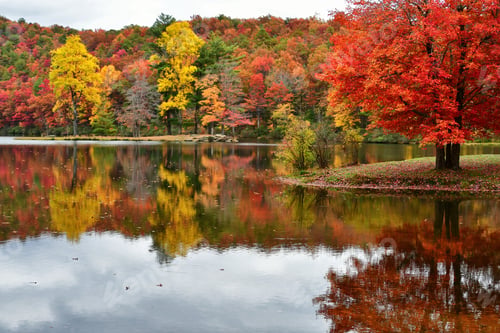Preview: Colorful fall foliage reflecting in a mountain lake in Virginia Blue Ridge Mountains