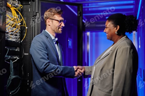 Preview: Smiling Business People Shaking Hands in Server Room