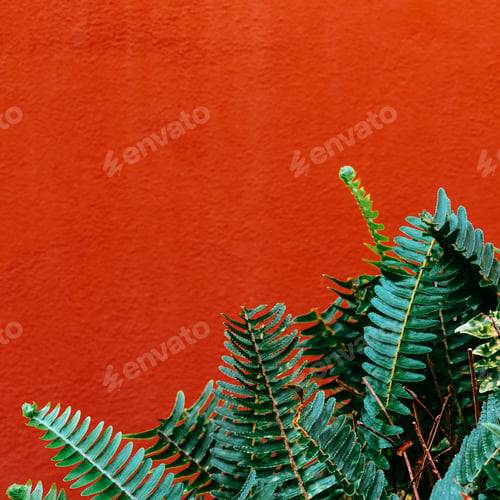 Preview: Tropical Plant on a Wall Background Green minimal style