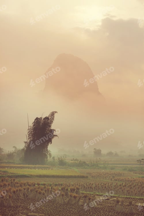 Preview: Vietnamese landscapes