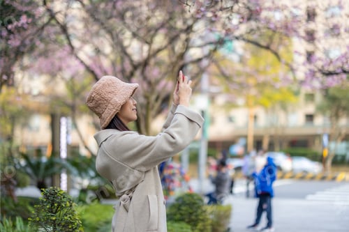 Preview: Woman take photo on cellphone of sakura flower