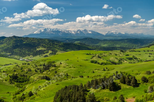 Preview: Green hills of Pieniny National Park and snowy Tatra Mountains in background in Poland