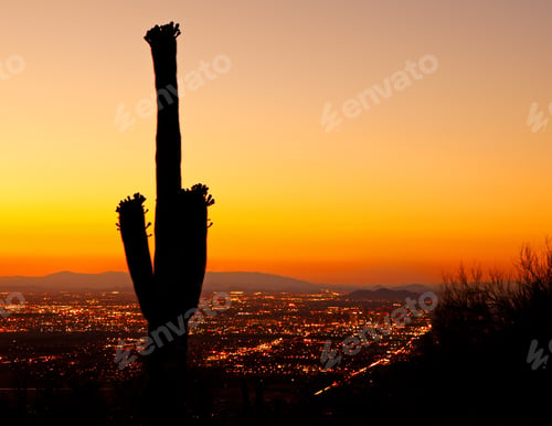 Preview: Sunset on Phoenix With Saguaro Cactus
