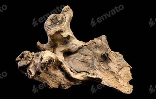Preview: Driftwood Fragment, Weathered Wood, Natural Wood Texture