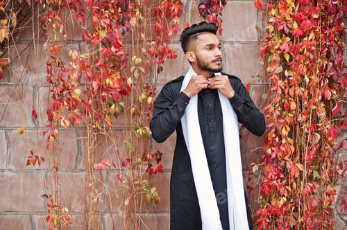 Preview: In indian traditional clothes