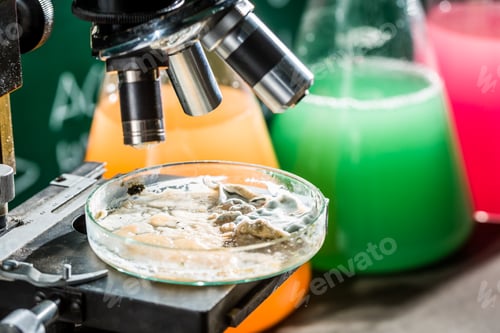 Preview: Test mold of the various reagents in the laboratory