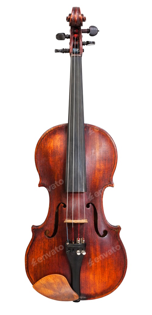 Preview: front view of standard full size violin isolated