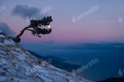 Preview: Full moon purple sky