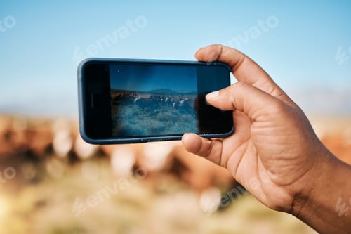 Preview: Person, hands and phone in photography, farming or animals for sustainability or natural agricultur