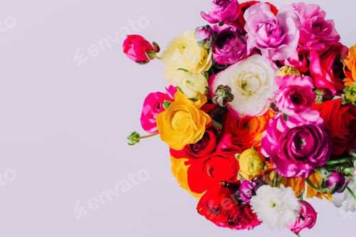 Preview: Bouquet of beautiful colorful ranunculus flowers isolated on white background