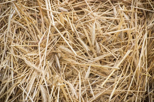 Preview: Bales of hay or straw. Background or wallpaper texture